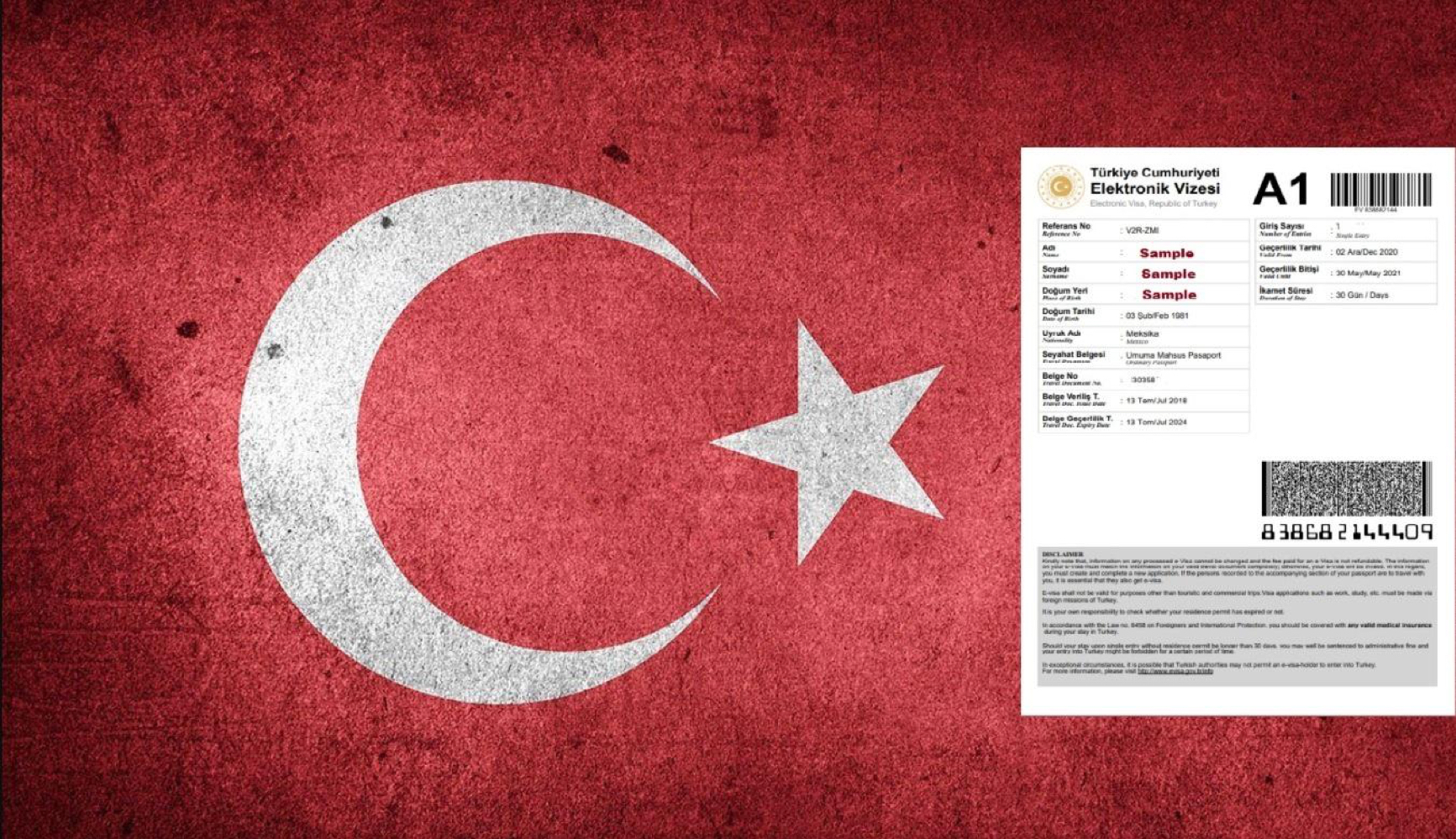 Time Required to Complete Turkey Visa Online Application