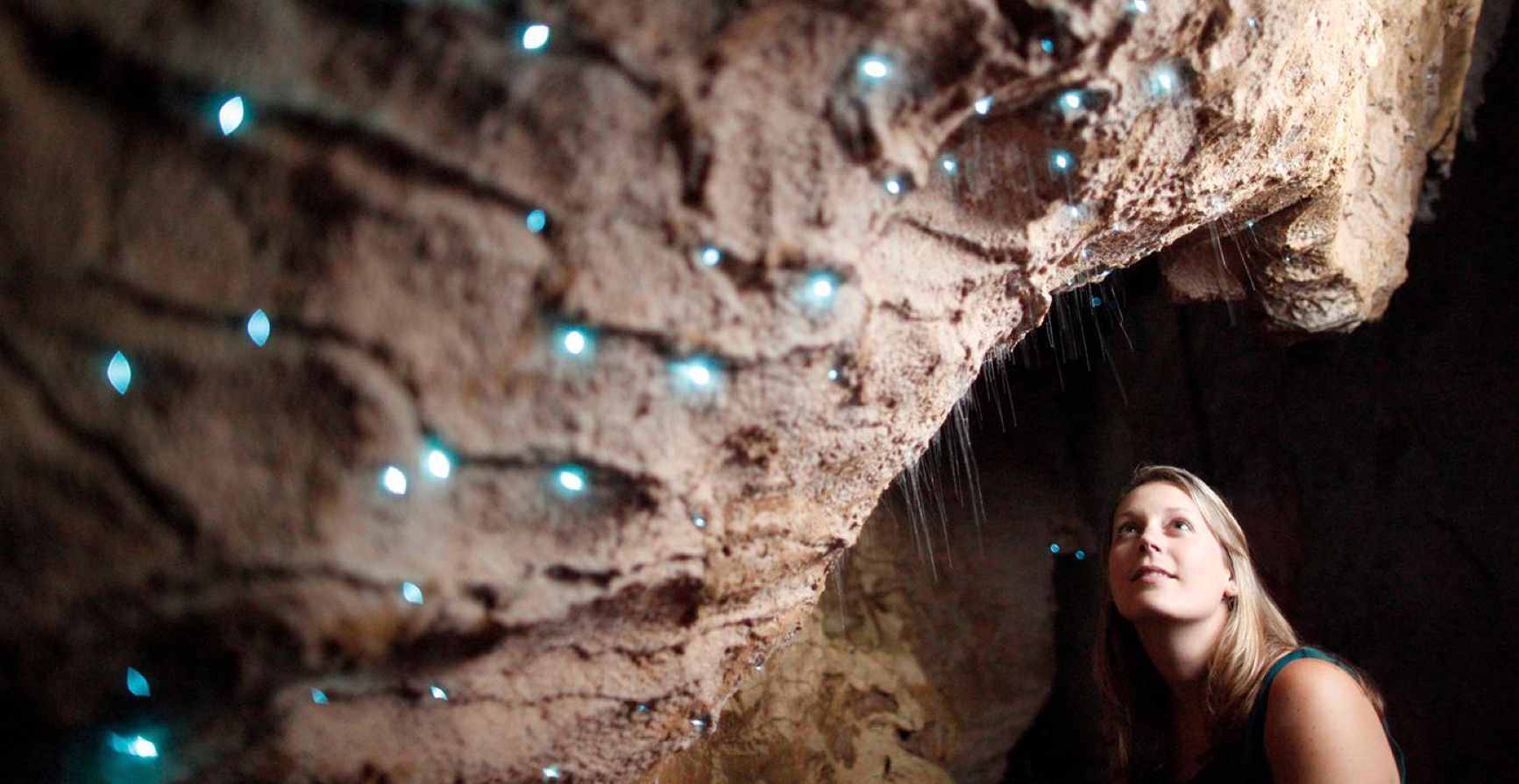 Glowworm Caves of New Zealand