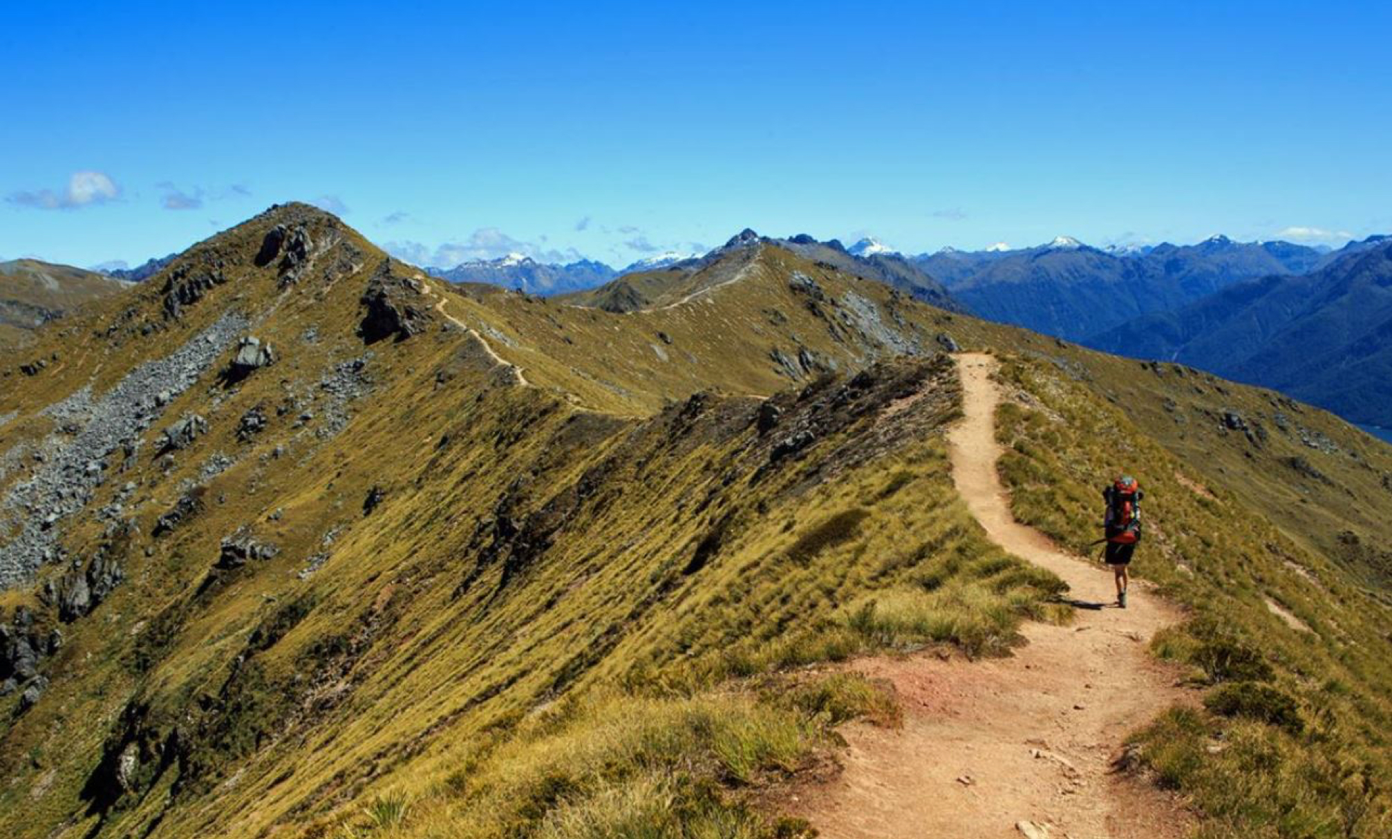 Kepler Track