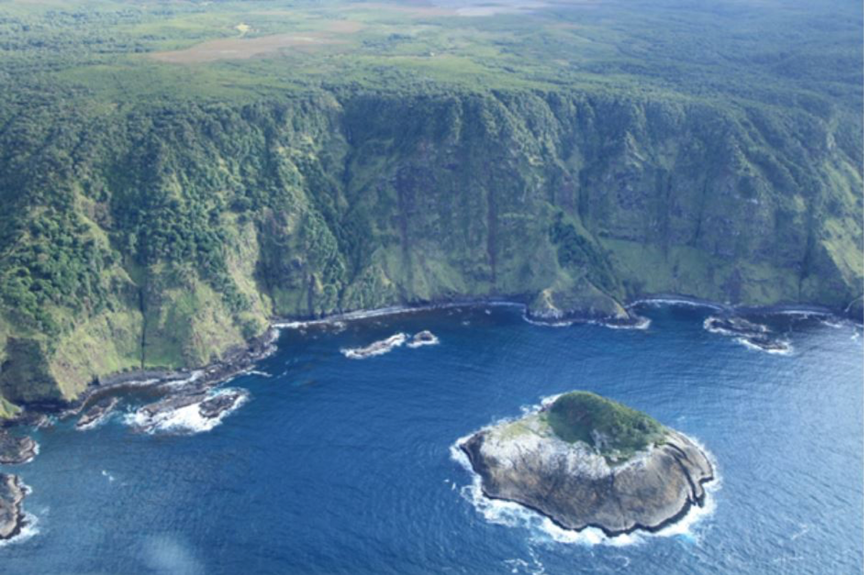 Scenic View of the Chatham Islands